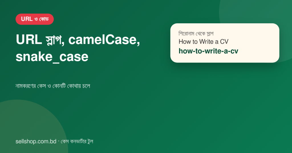 how to write a cv থেকে how-to-write-a-cv স্লাগ এবং চার নামকরণ রীতির উদাহরণ