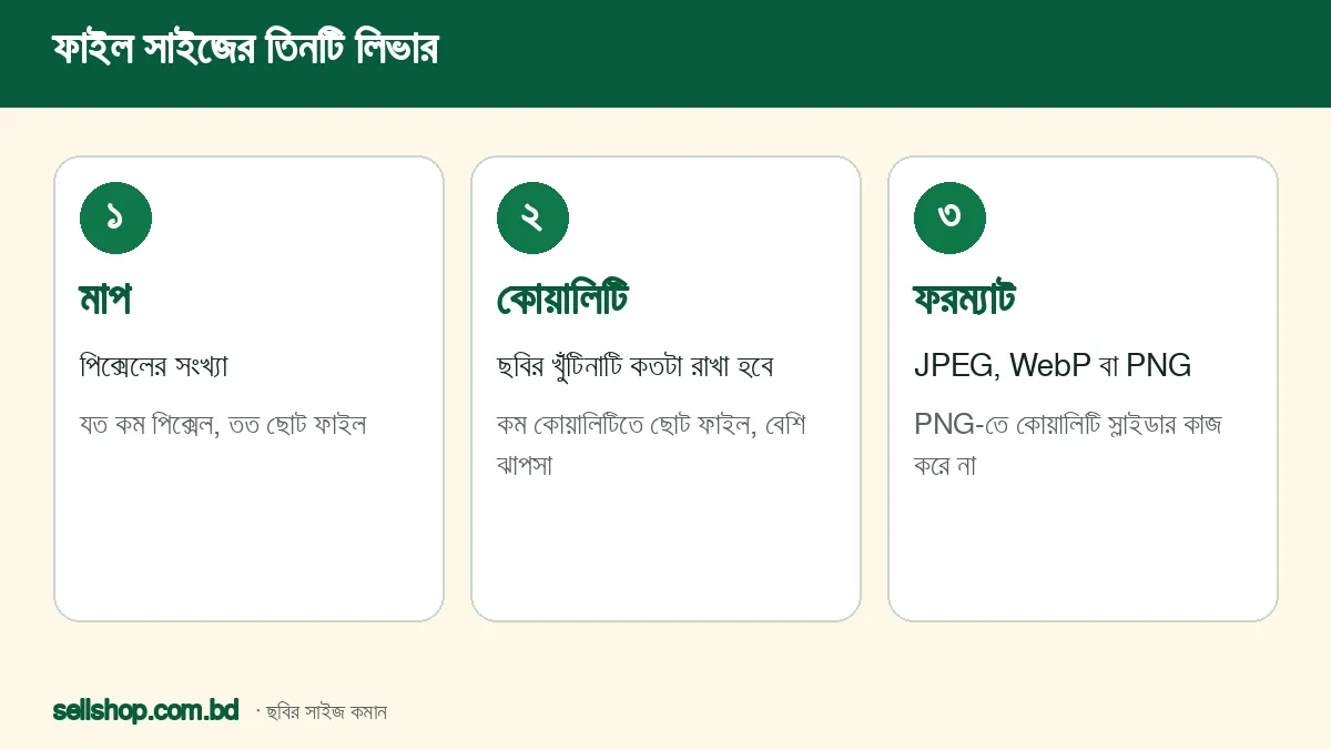 ছবির ফাইল সাইজ কমানোর তিনটি উপায়: মাপ, কোয়ালিটি ও ফরম্যাট