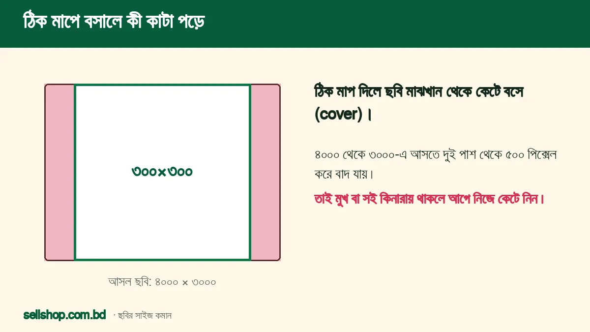 ৪০০০×৩০০০ ছবি থেকে ৩০০×৩০০ বসালে দুই পাশ থেকে ৫০০ পিক্সেল করে কাটা পড়ে
