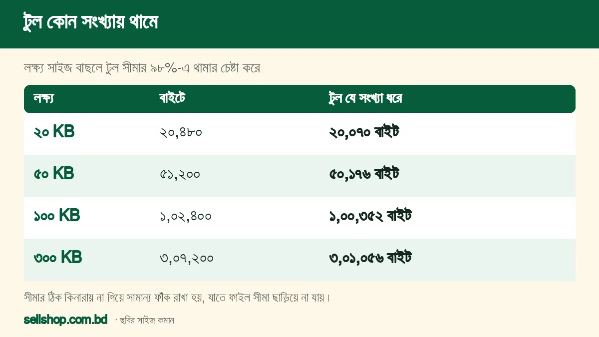 লক্ষ্য সাইজ ২০, ৫০, ১০০ ও ৩০০ KB-এর জন্য বাইটে সীমা ও টুলের ধরা সংখ্যা