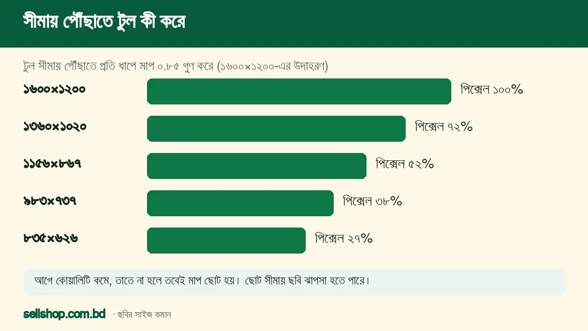 ১৬০০×১২০০ ছবি থেকে প্রতি ধাপে ০.৮৫ গুণ ছোট করার সিঁড়ি: ১৩৬০, ১১৫৬, ৯৮৩ ও ৮৩৫ পিক্সেল