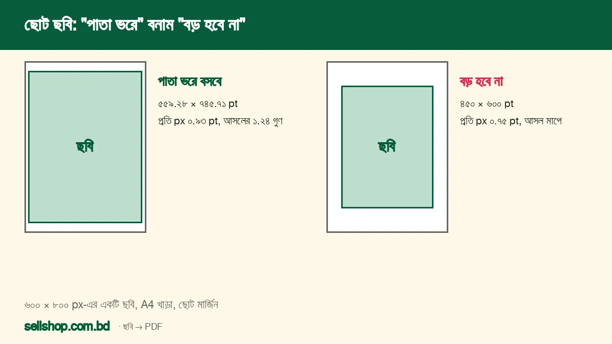 ৬০০×৮০০ ছোট ছবি "পাতা ভরে" ও "বড় হবে না" দুই সেটিংয়ে A4 পাতায় কেমন বসে