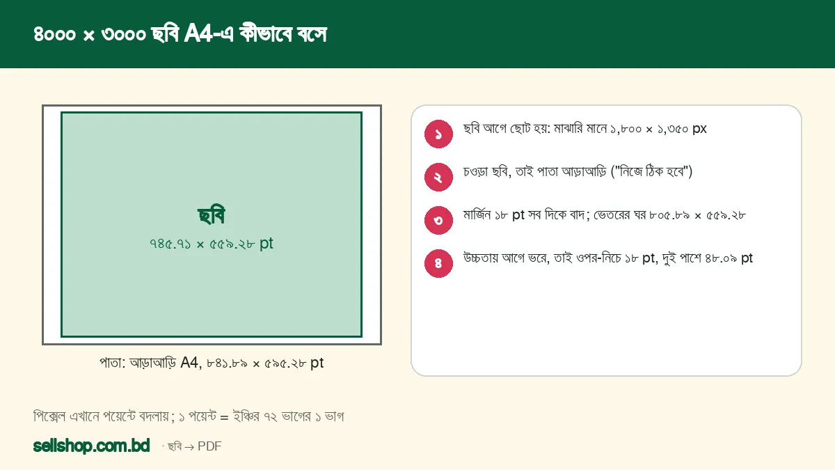 ৪০০০×৩০০০ ছবি আড়াআড়ি A4 পাতায় ৭৪৫.৭১×৫৫৯.২৮ পয়েন্টে বসার চিত্র